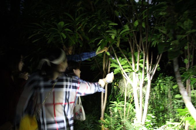 ~Xe[iCgEH[NŖ̐XU􂵂悤I