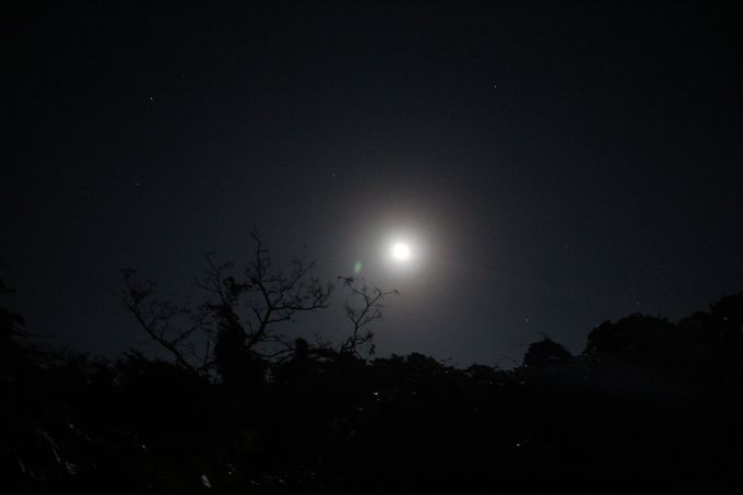 ~Xe[iCgEH[NŖ̐XU􂵂悤I