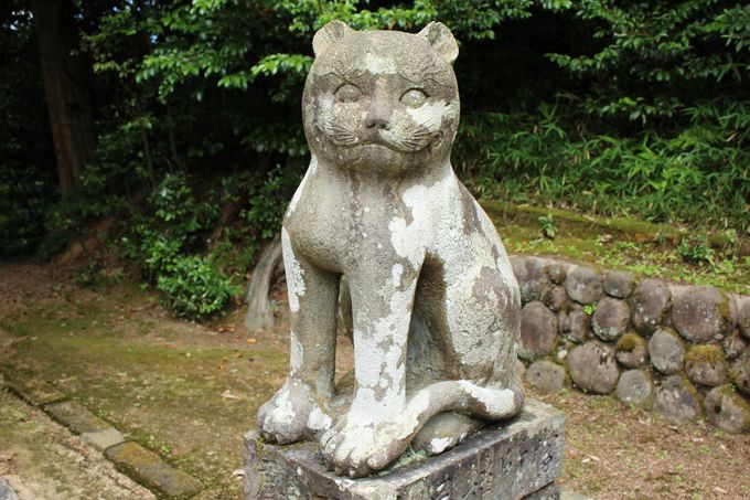 京都 金刀比羅神社 には日本唯一の狛猫がある 京都府 Lineトラベルjp 旅行ガイド