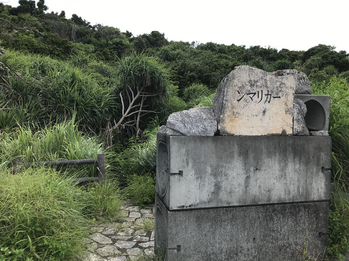 p[gD䂩̒n߂Ă݂悤