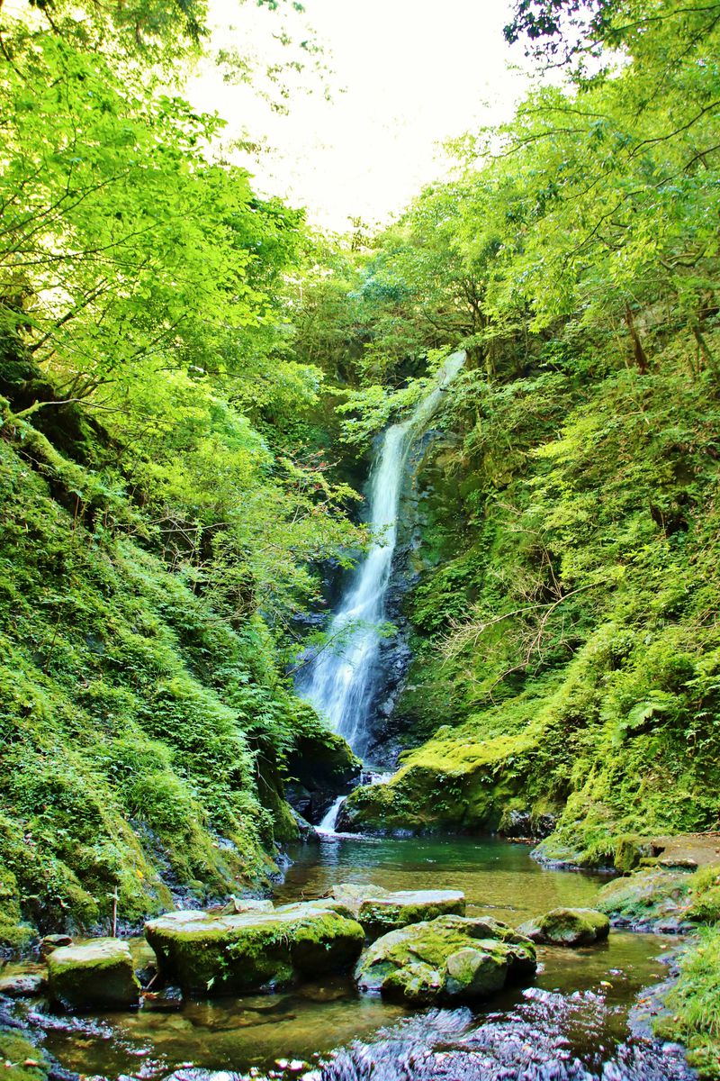 若狭地方最大の落差！福井「野鹿の滝」の涼感に癒されよう