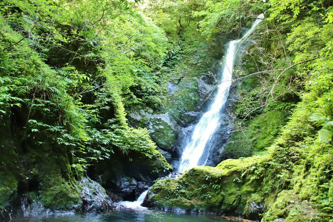 若狭地方最大の落差 福井 野鹿の滝 の涼感に癒されよう 福井県 Lineトラベルjp 旅行ガイド