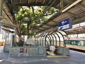 京阪電鉄「萱島駅」は巨大なクスノキと共存する駅！