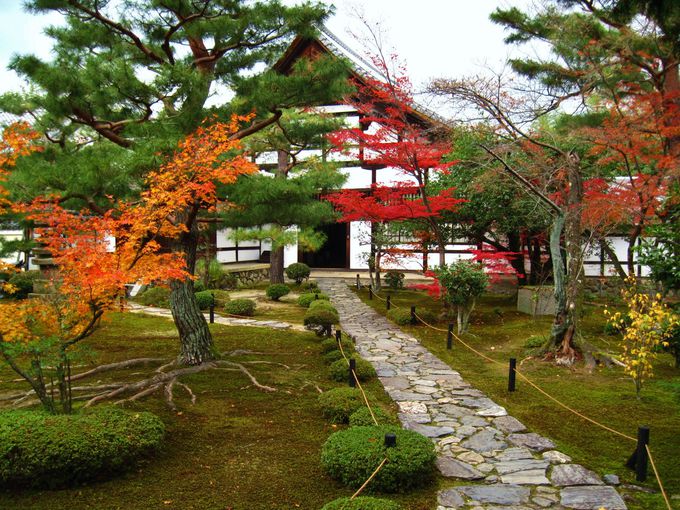 紅葉の穴場 京都 鹿王院 の静かなる参道の美を堪能しよう 京都府 Lineトラベルjp 旅行ガイド