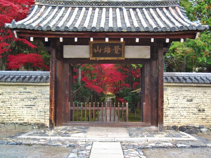 紅葉の穴場 京都 鹿王院 の静かなる参道の美を堪能しよう 京都府 Lineトラベルjp 旅行ガイド