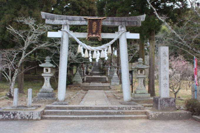 名前だけで行ってみたくなる京都の神社まとめ 京都府 トラベルjp 旅行ガイド