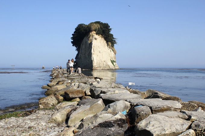 \ôߊόX|bg10I E_ƈYɔC݂I