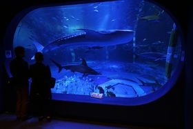 {Cő̐uWxGU ̐Ev`̂Ƃܐف`̋LTlC