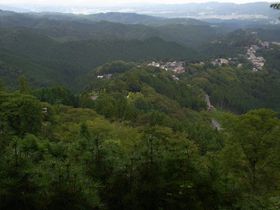 EgtȂgRIItV[Yo邶ŰLTlC