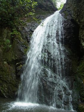 �X���̔鋫 �B��ꂠ��A�Ù�����̕�ˁE�Ŗ�����̋L���T���l�C��