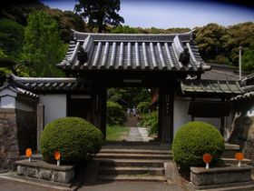 R̐zE쓻(ޗǌ)̌ǂ̋LTlC