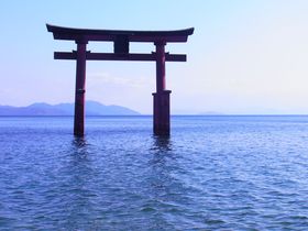 ዷƋEaȂÑ㊲H`ߍ]()̌ǂ̋LTlC