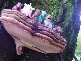 ̌ǓEg̒R`SCp[SJ̗̋LTlC