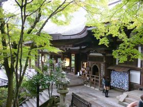 �������䂩��̐ΎR���A46�N�Ԃ�̑��󓃂̏C�����������܂�����̋L���T���l�C��