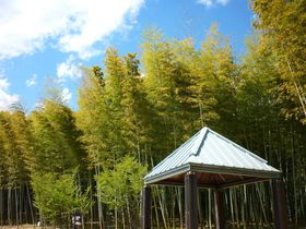 �{�T�m�o�̗���邨�����ȗ��R�A�H�≷����[���́u���̉w���݂̂� ��܂񂿂������v�̋L���T���l�C��