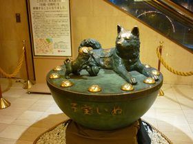 �q���q��Ăɂ����v�̂��铌���l�`���́u���V�{�v�A�������̉��{�͂�����I�q�󂢂ʂ̓z�e���ցI�̋L���T���l�C��