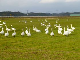 �~�Ȃ�ł͂̎B�e�X�|�b�g�I�u�������[�h�v�Ɨǉ����т́u�Ȃ��΁v�����������s�̋L���T���l�C��