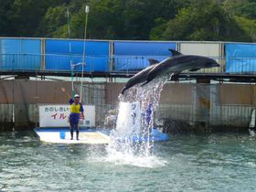 HuCJv!pX|ƌd̃CJV[!̋LTlC