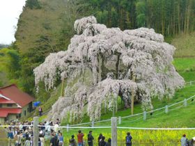 4���ɍs�������������s�您������10�I�y2025�z�̋L���T���l�C��