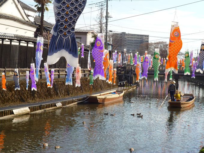 蔵の街遊覧船 春の風物詩「うずまの鯉のぼり」