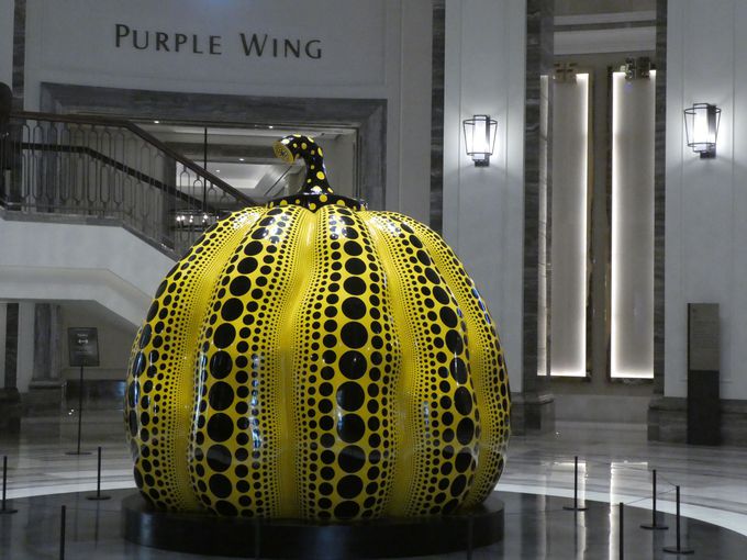 Ԝ\̃A[gp_CXVeB̒ɁI