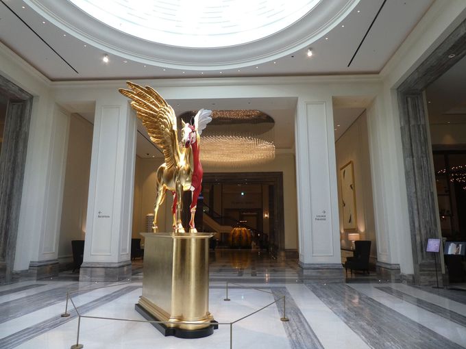 Ԝ\̃A[gp_CXVeB̒ɁI