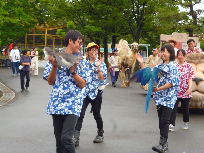 動物園で国内5位の人気 埼玉 東武動物公園の進化が止まらない 埼玉県 トラベルjp 旅行ガイド