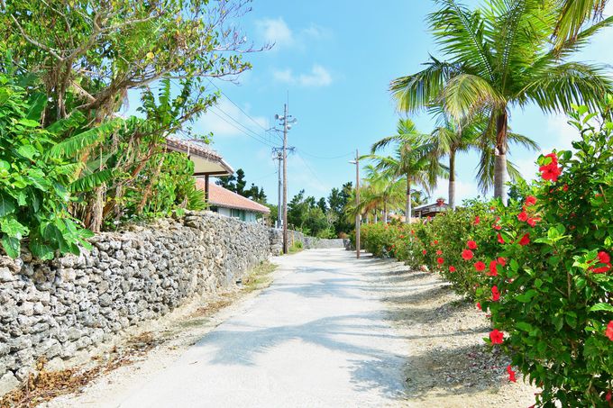 沖縄の原風景がここにある 竹富島でとっておきの時間を過ごそう 沖縄県 Lineトラベルjp 旅行ガイド