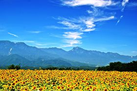 ̂Ђ܂蔨Ikms̉ԂƎR̂߃X|bg5II̋LTlC