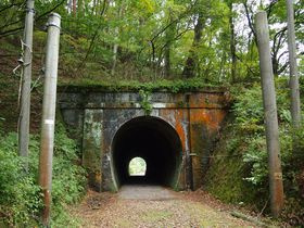 ������ƕς�����X�ї��E�H�[�L���O�`���ܖ�E�����S�m����p���~��������̋L���T���l�C��