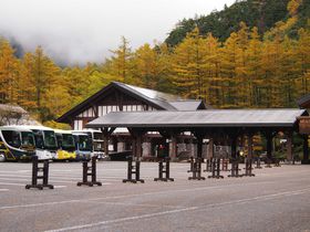 �M�B�g�t�̑�\�i�`�㍂�n�ŏH�̃g���b�L���O���y���ނ̋L���T���l�C��