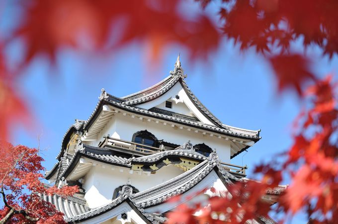 桜と紅葉と名庭を堪能する「彦根城」