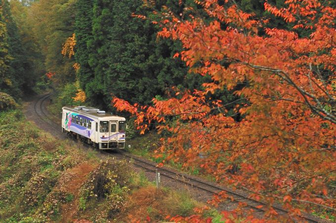 ローカル鉄道「明知鉄道」で行く恵那市岩村町 心ほっこりのんびり旅