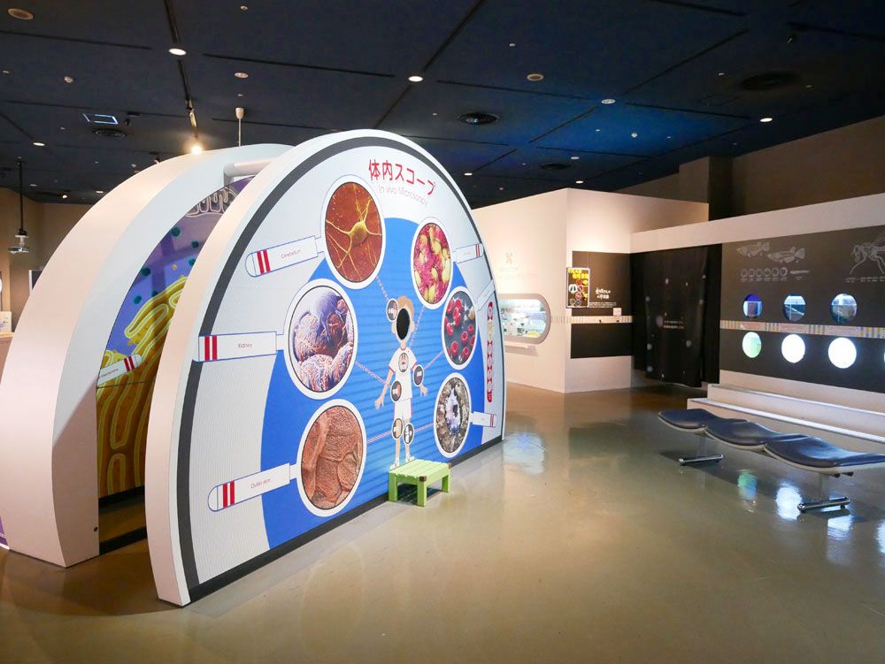 日本最大級の体験型科学館 名古屋市科学館で五感フル稼働の刺激を 愛知県 トラベルjp 旅行ガイド