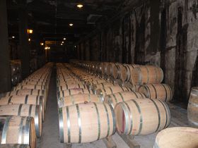 1000~ŃCVݔ!?RETg[őuCi[ւ̋LTlC