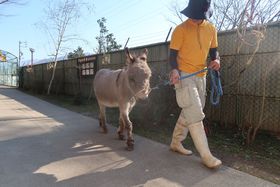 �R�̘[�̏����ȓ������I���쌧�u�{��s�������v�łӂꂠ���̌��̋L���T���l�C��