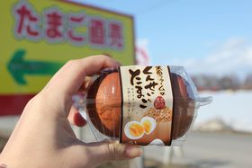 ܂уt@KK̒I]ʎsuct@[v̋LTlC