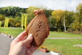 JCCIÕʒủwv́gN}LhĉH̋LTlC