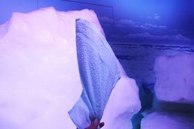 ^I!?ԑuIz[cNXفvł΂̌̋LTlC