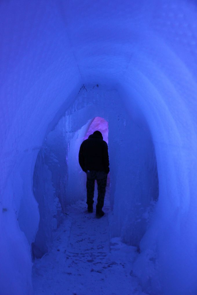 x┌΂Ȃł́IтuXv̔͂ɐSDI