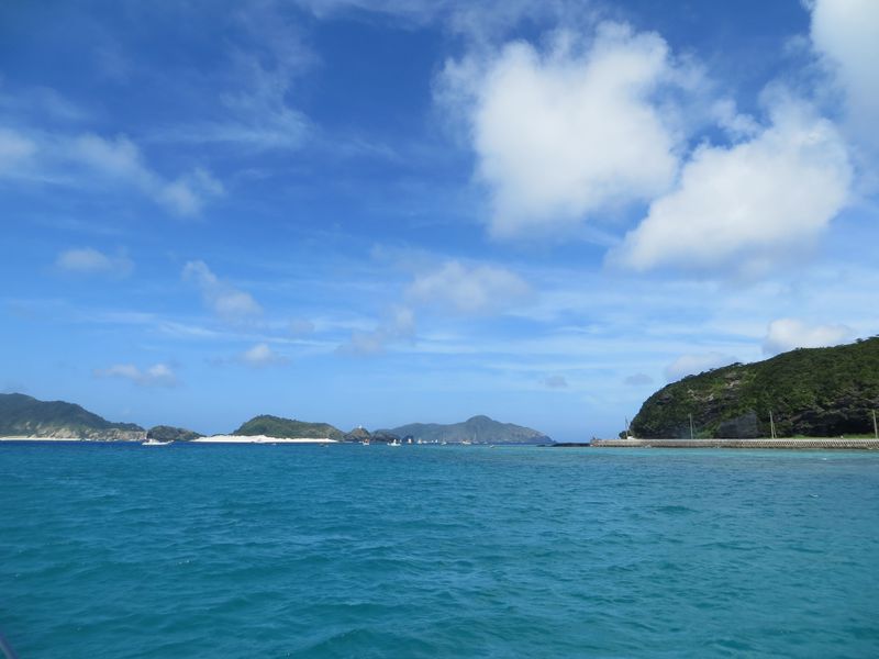 沖縄でのダイビングデビューは、安全で見どころも多い慶良間がオススメ！