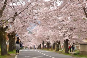 ܂ō̃glISҒ̌IԌX|bgTI̋LTlC