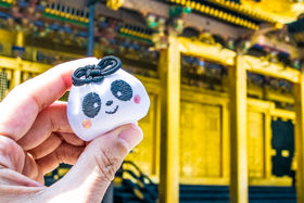 p_Ɋ肢IЂ𕟂ɕςu쓌Ƌ{v́gh̋LTlC