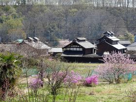 ���{�O��T�U�G���I�����i�ɍʂ�ꂽ�{���s�E�����̗��̕S�̊ω����̋L���T���l�C��