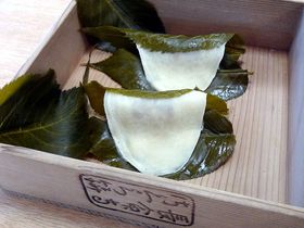 �X�J�C�c���[�ቺ�́u�a�X�C�[�c�X���v!�����E���I�a�َq5�X�̋L���T���l�C��