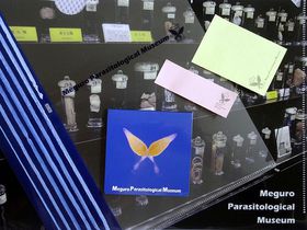 Eň̔!f[gX|bgEڍ񐶒ق̋LTlC