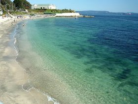 SW㗤IH̒mV̉{Xg[[uωv̋LTlC