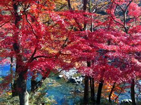 ���s�̍g�t����ʂŁB�R����J����̗��j�ɍʂ�ꂽ���R�k�J�̋L���T���l�C��