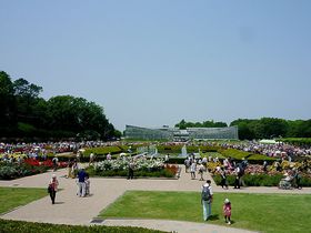 E̎^oIzE_ÁuotFX^v̋LTlC