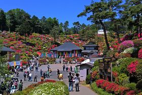 �J���t���Ȑ�i�I�~�E���D�ω����u���Ղ�v�y���ݕ��T�I�̋L���T���l�C��